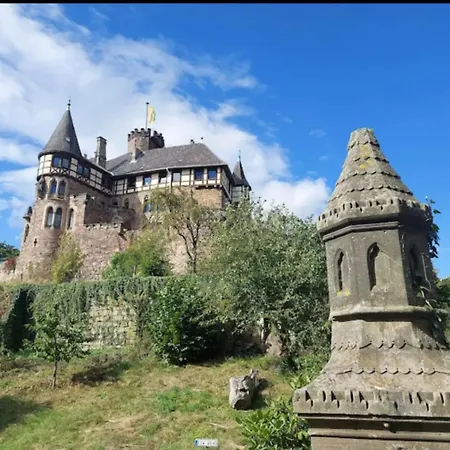 Kopf * Witzenhausen